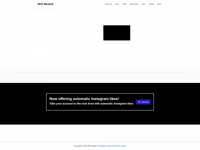 seomediax.com snapshot