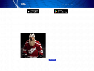 worldhockeymanagergame.com snapshot