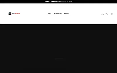 dashsecure.nl snapshot