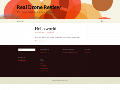 realdronereview.com snapshot
