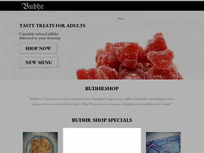 budhrshop.com snapshot