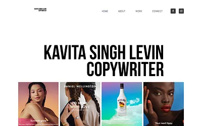 singh-levin.com snapshot
