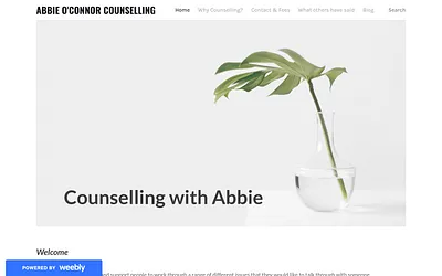 www.abbiecounselling.co.uk snapshot