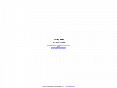 sbrendelplumbing.com snapshot