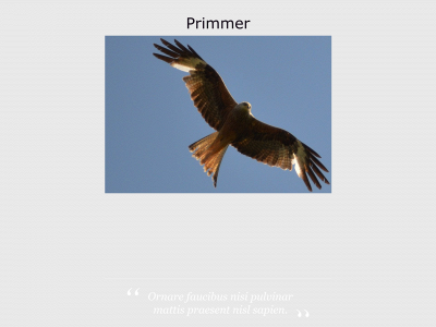 primmer.se snapshot