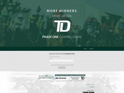www.thirddividend.com snapshot
