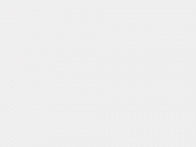 skutansallservice.se snapshot