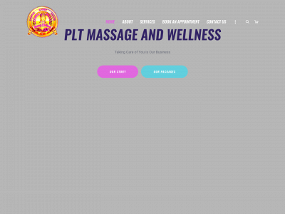 purplelighttouchllc.com snapshot