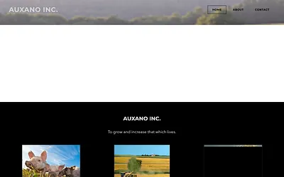 www.auxanoinc.com snapshot