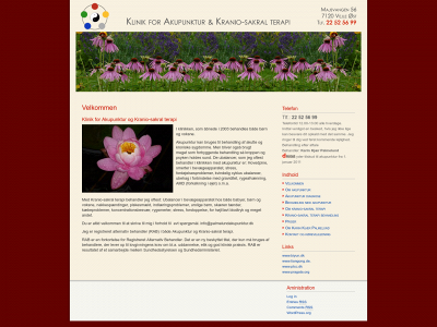 palmelundakupunktur.dk snapshot