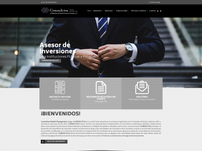 consultiva.com snapshot