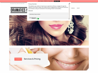 dramaticsnyc.com snapshot