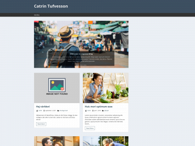 catrintufvesson.se snapshot