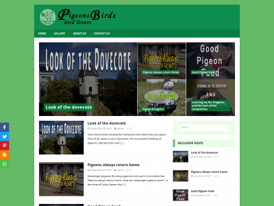 pigeonsbirds.com snapshot