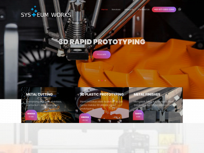 systeumworks.com snapshot