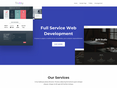 tridbly.com snapshot