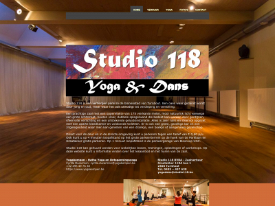studio118.be snapshot