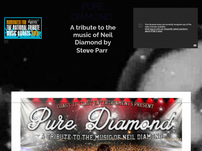 purediamondshow.co.uk snapshot