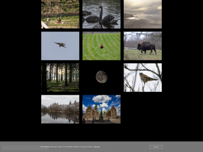 ejlerskovfoto.dk snapshot