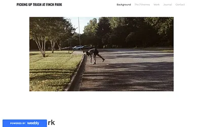 finchparkcleanup.weebly.com snapshot