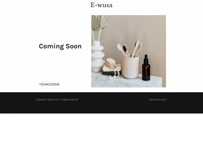 e-wusa.com snapshot