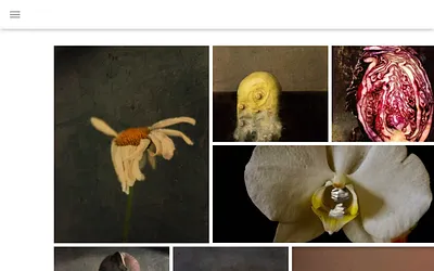 200bloemen.nl snapshot