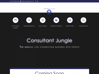 consultantjungle.com snapshot