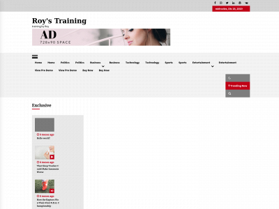 roy.training snapshot