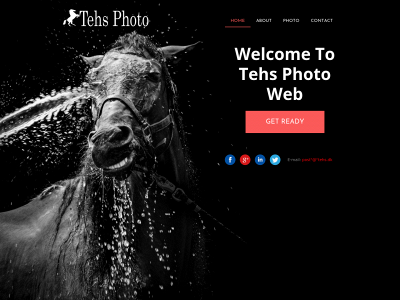 tehs.dk snapshot