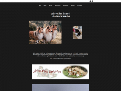 lillevolden-kennel.com snapshot
