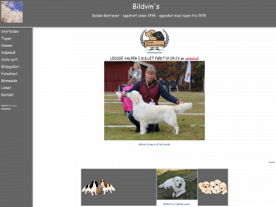 bildvin.com snapshot