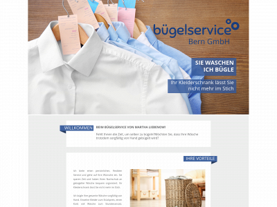 buegelservice-bern.ch snapshot