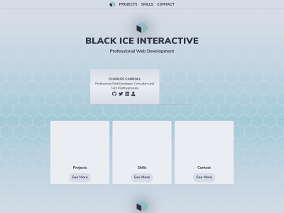 blackiceinteractive.com snapshot