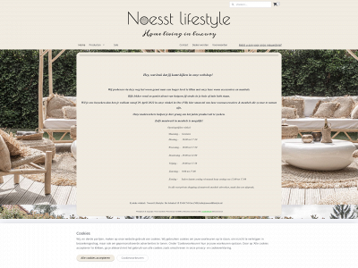 noesstlifestyle.nl snapshot