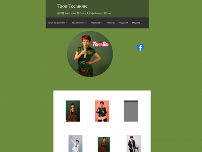 taonteehuone.fi snapshot