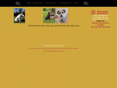 dog-talk.be snapshot