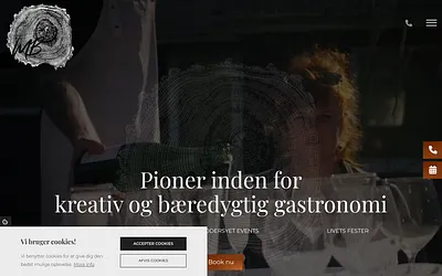 bybjerring.dk snapshot
