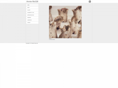 anniemcgill.com snapshot