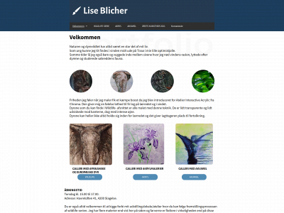 liseblicher.dk snapshot