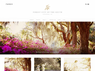 forestcityofthesouth.com snapshot