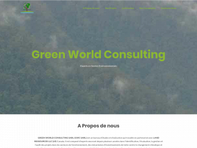 gwcsarl.com snapshot