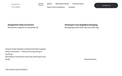 kinesostudio.co snapshot