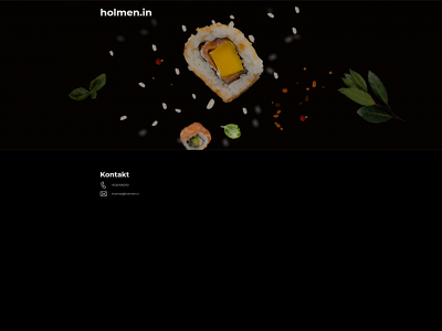 holmen.in snapshot