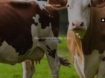 icareforcattle.ca snapshot
