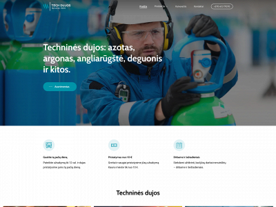 techdujos.lt snapshot