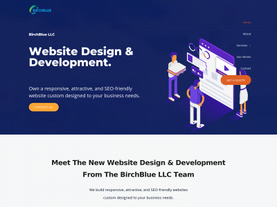 birchbluellc.com snapshot