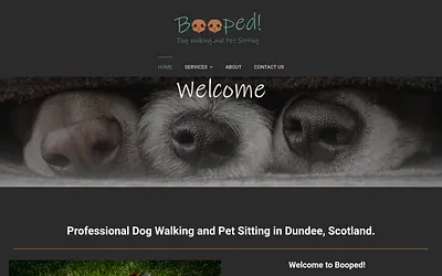 booped.co.uk snapshot