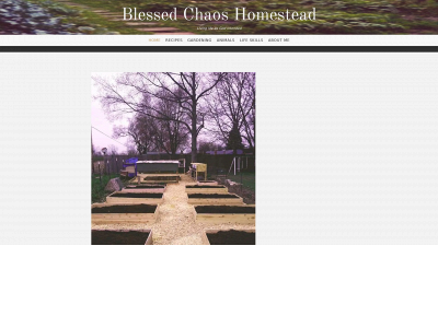 blessedchaoshomestead.com snapshot