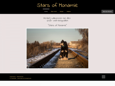 stars-of-monamie.de snapshot