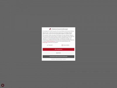 ap-industriemontage.net snapshot